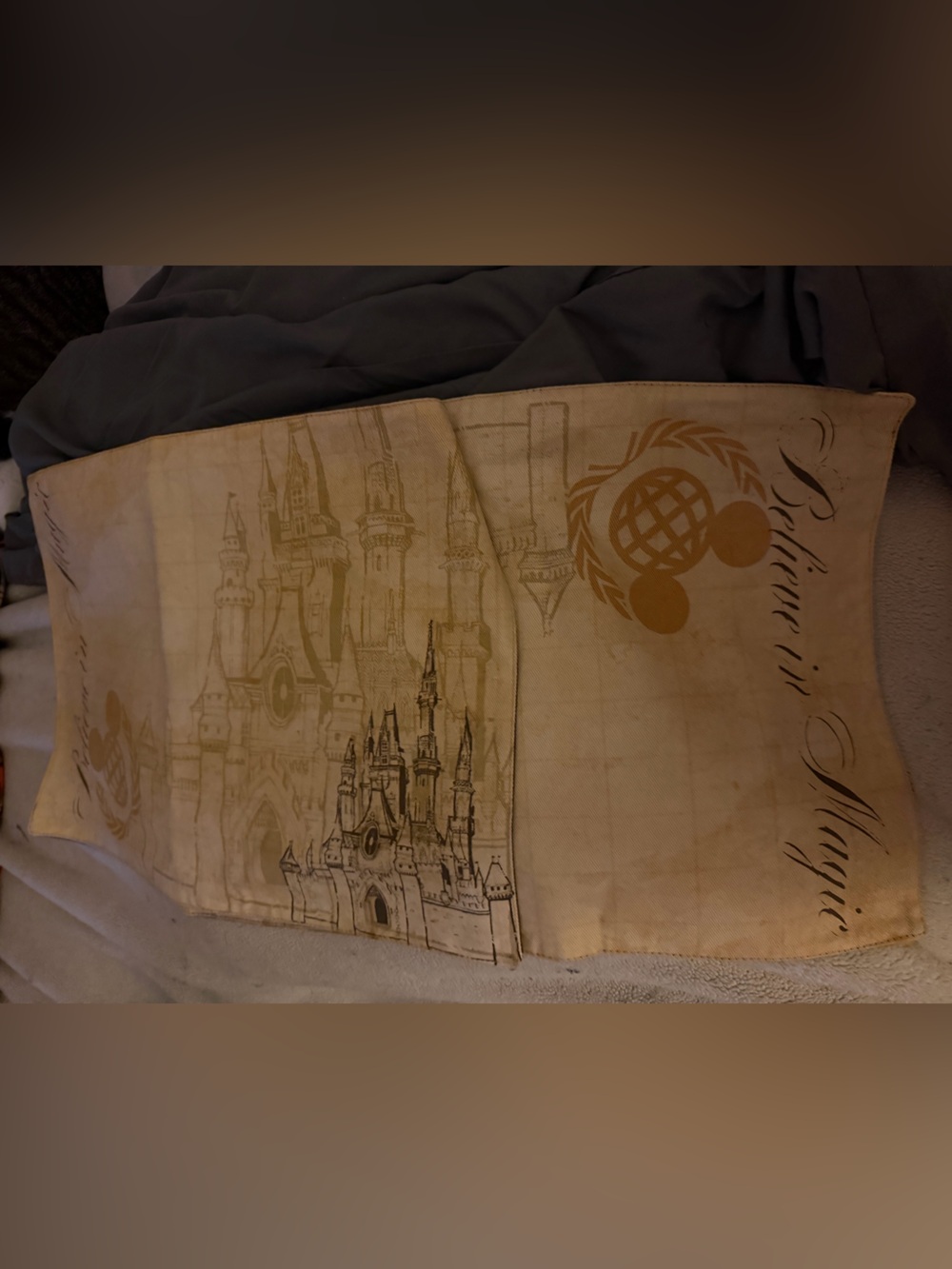 Set of 2 Walt Disney World Parks Official Castle Placemat